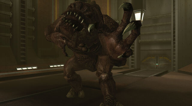 File:Sewerrancor.jpg