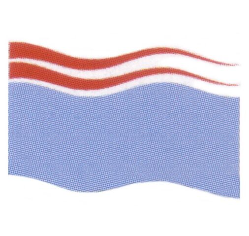 File:Ebe Endocott flag.jpg