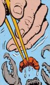 Chopsticks2