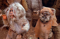 Teek Wicket.jpg