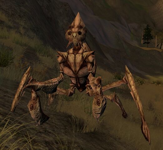 File:Giant dalyrake.jpg