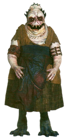 Gragra full body shot