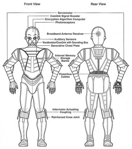 File:CZsecretary egtd.png