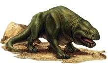 Dewback.jpg