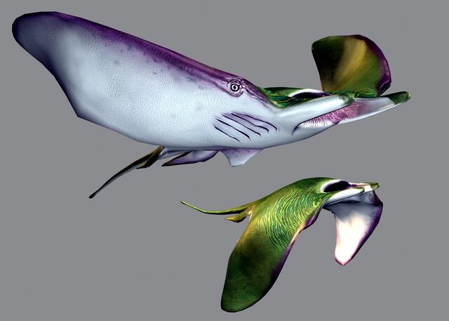 File:ConceptBrith.jpg