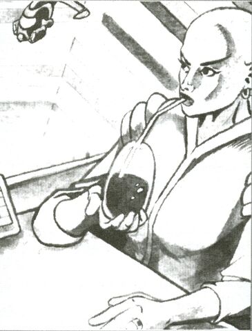 File:Timmabriss.jpg