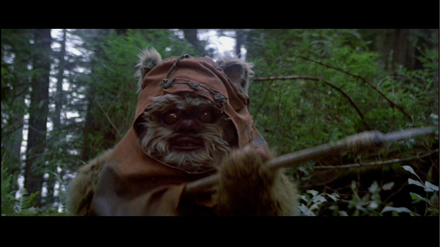 Fil:Ewok2.png