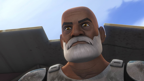 Old Captain Rex