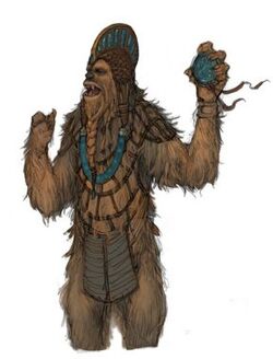 Wookiee concept.jpg