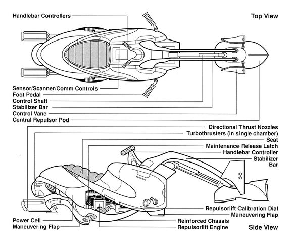 File:Swoop anatomy.jpg