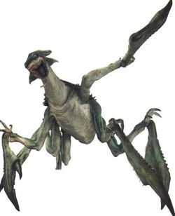 Acklay09.jpg