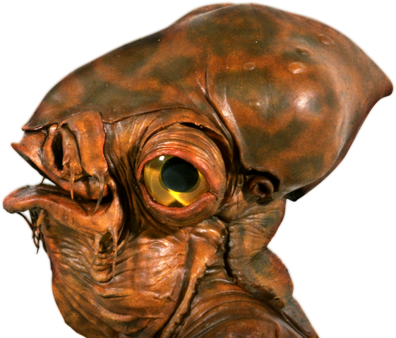 File:Species-stub.png
