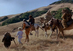 Ewoks Pony.jpg