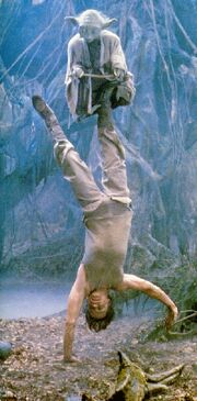 LukeandYoda.jpg