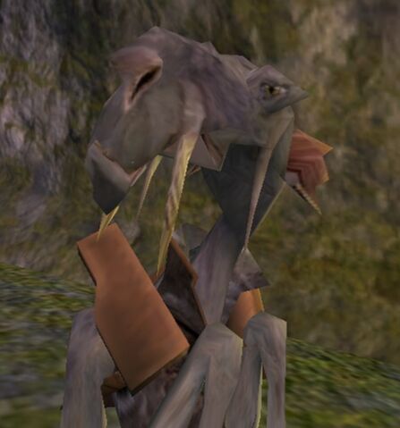 File:Zadalgo.jpg