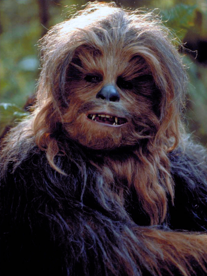 ChewbaccaCSWE.jpg