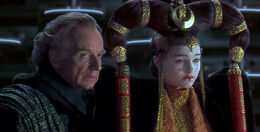 Amidalabeforesenate.jpg