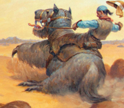 Criloc horse