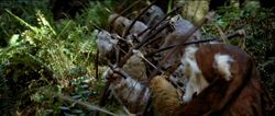 Ewoks bogen.jpg