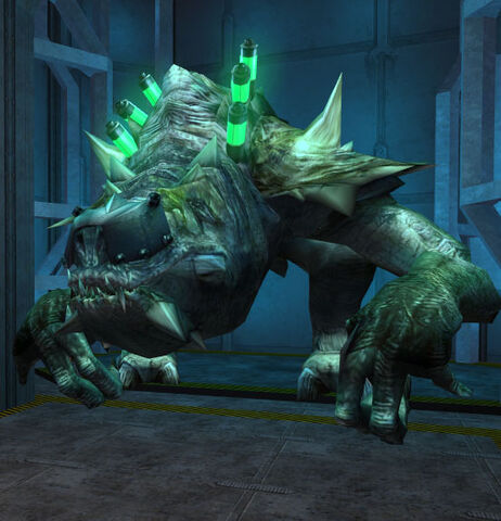 File:Mutatedrancor.jpg