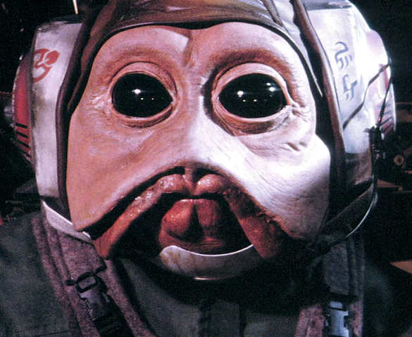 File:SullustanPilot-ROTJCut.png