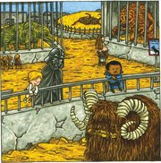 Vader at the zoo