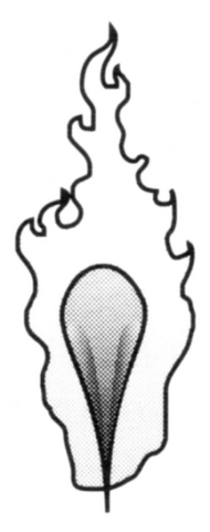 File:Blazing Claw 4.png