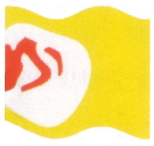 File:Teemto Pagalies flag.jpg