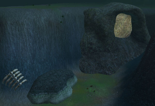 File:GiantBarkMiteCave.jpg