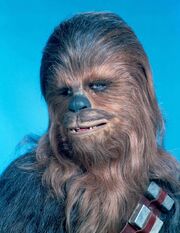 Chewbacca 10550