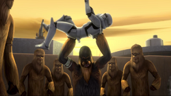 Wookies Versus Stormtrooper Trailer