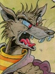 Rat