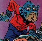 Monkey