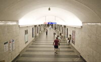 DSC 5086.jpg
