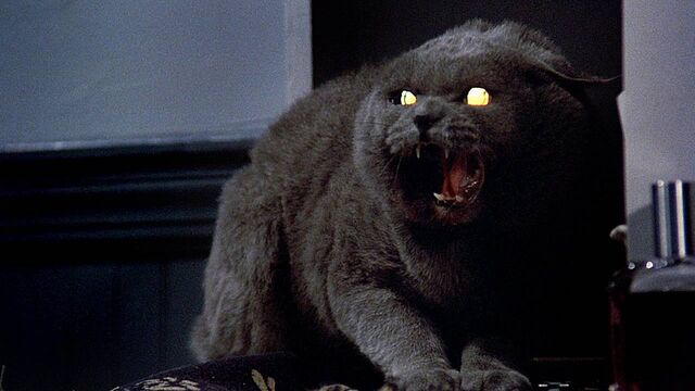 File:Hellpussy.jpg