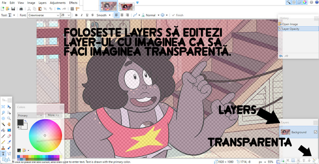 Fișier:Pasul2.png