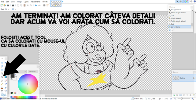 Fișier:Pasul6.png
