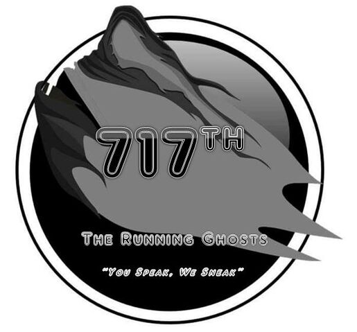 File:717th SO MSG.jpg