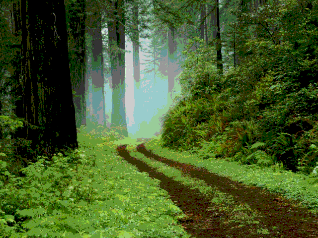 Plik:Radio.gif