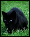Thumbnail for version as of 17:20, September 2, 2012