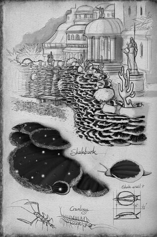 File:Shalebark.jpg