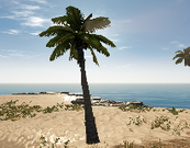 173px-Palmtree.png