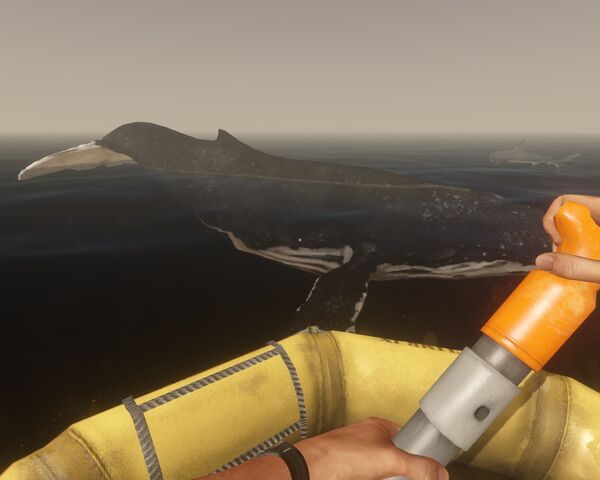 File:Humpback whale Stranded Deep.jpg