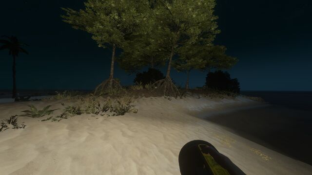 File:Torch at night.jpg