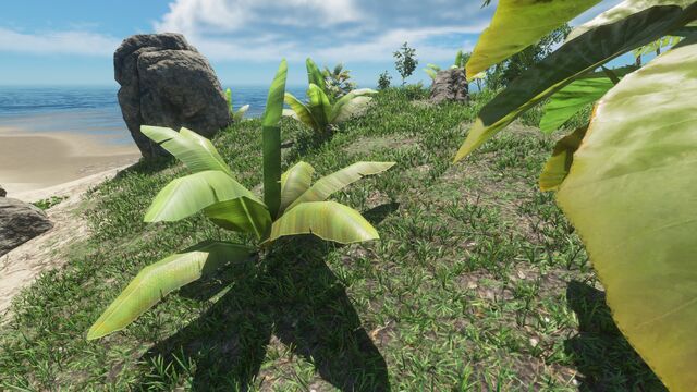 Plik:Fauna wysp.jpg