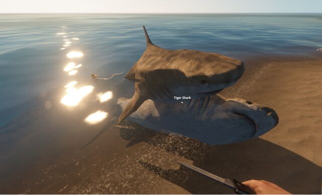 File:Sharky sexy time.jpg