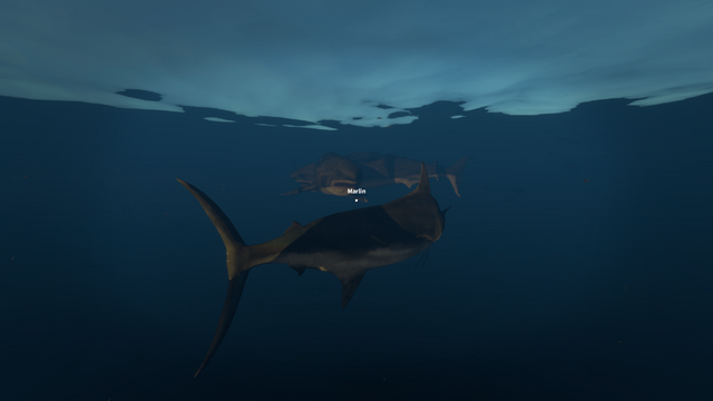 File:Marlin and Great White.png
