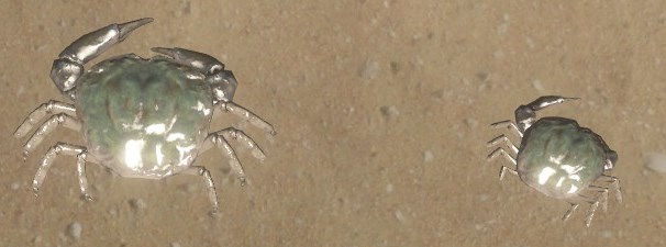 File:Crab.jpg