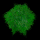 File:Bush11.png