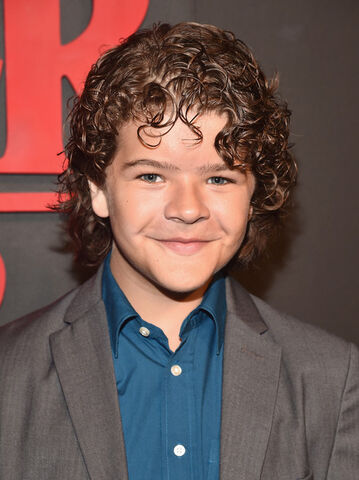 Archivo:Gaten Matarazzo.jpg